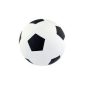 Pelota Pvc