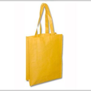 Bolsa Ecológica 40x30x12
